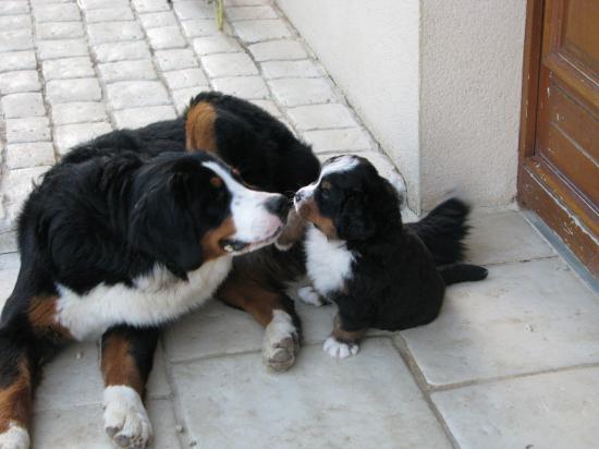 camerone et un bébé