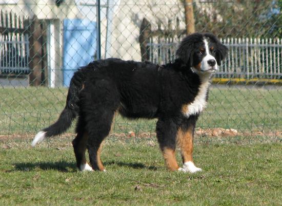 EDER, 5 mois février 2010