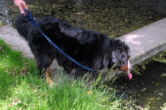 pff elle est loin cette eau fraîche non !