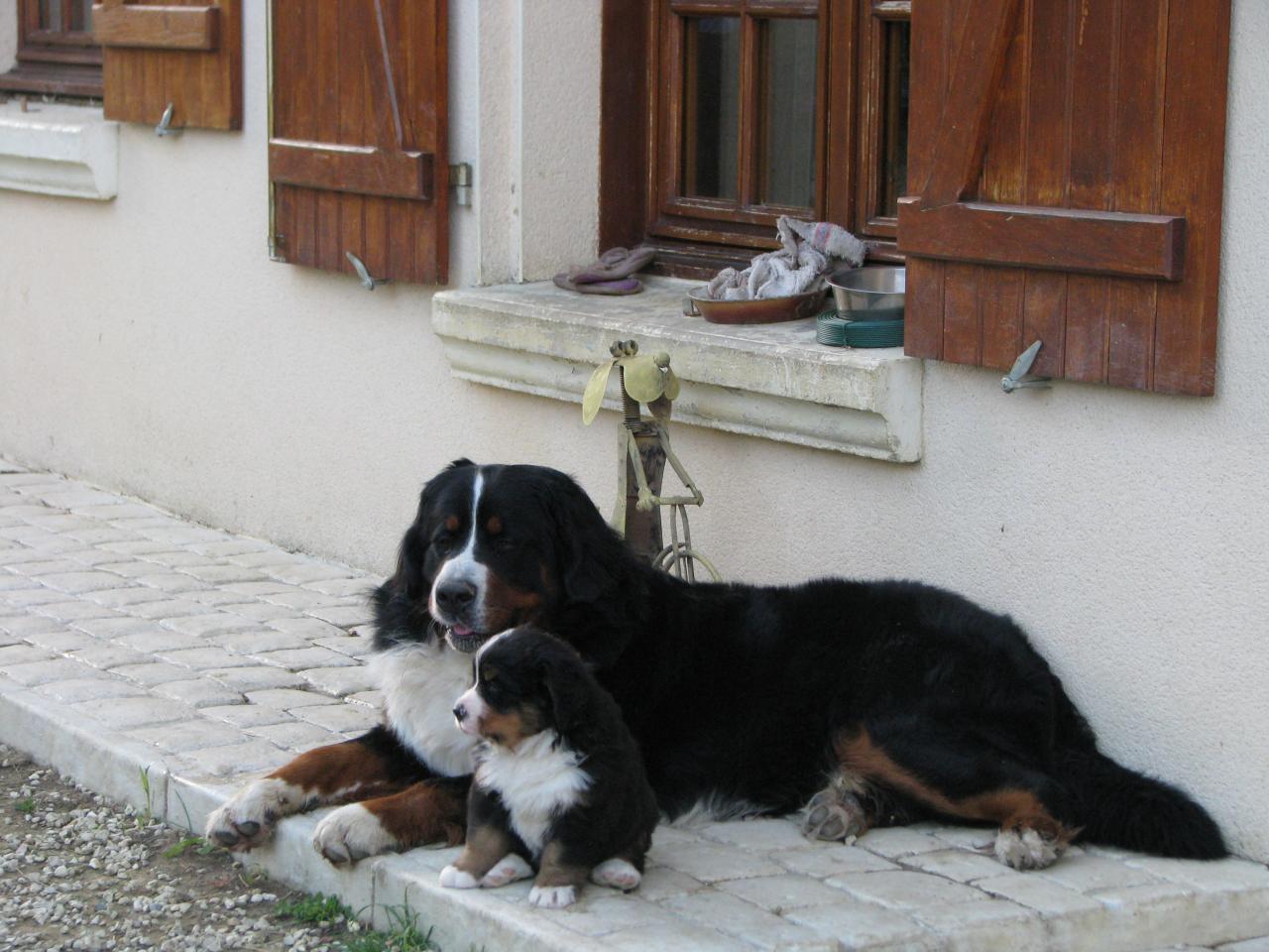 bud et un de ses fils