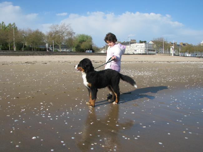 gipsy et son handler perso!!!