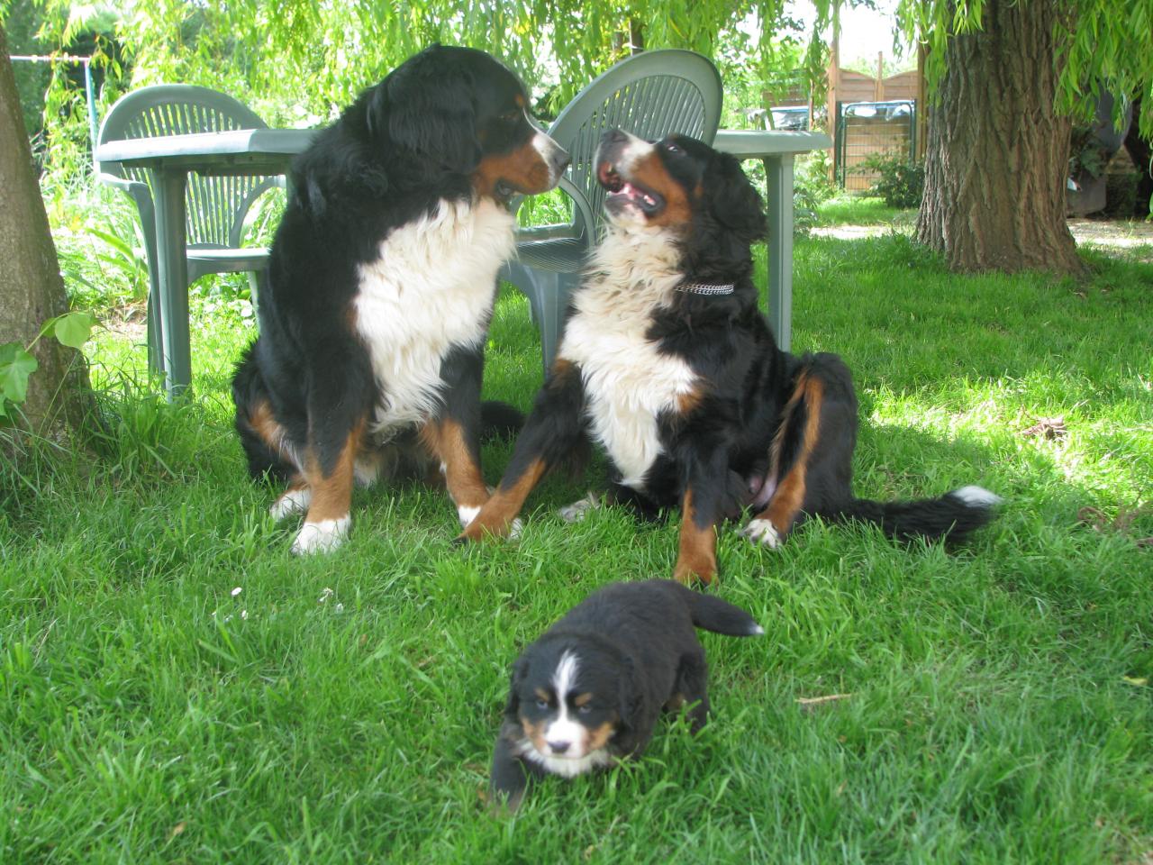 papa, maman et moi...dakota