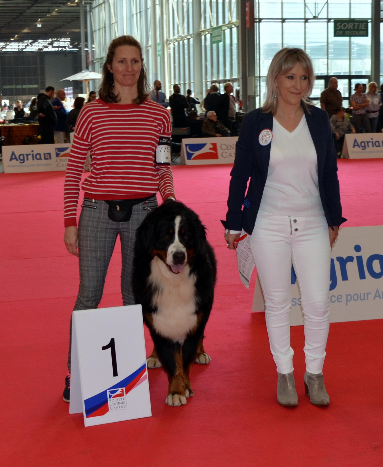 JEUNE CHAMPION D EUROPE