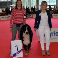 JEUNE CHAMPION D EUROPE