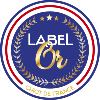 Label or chiot